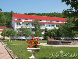 Health Resort / Sanatorium “Tepliza” | Украина (Transcarpathian Region, Vinogradovsky region)