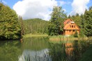 cottage Ostrov in summer, Hotel «Ozero Vita, eco-resort »