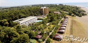Holiday Hotel “Сосновая роща (Пицунда)” | Абхазия (Пицунда)